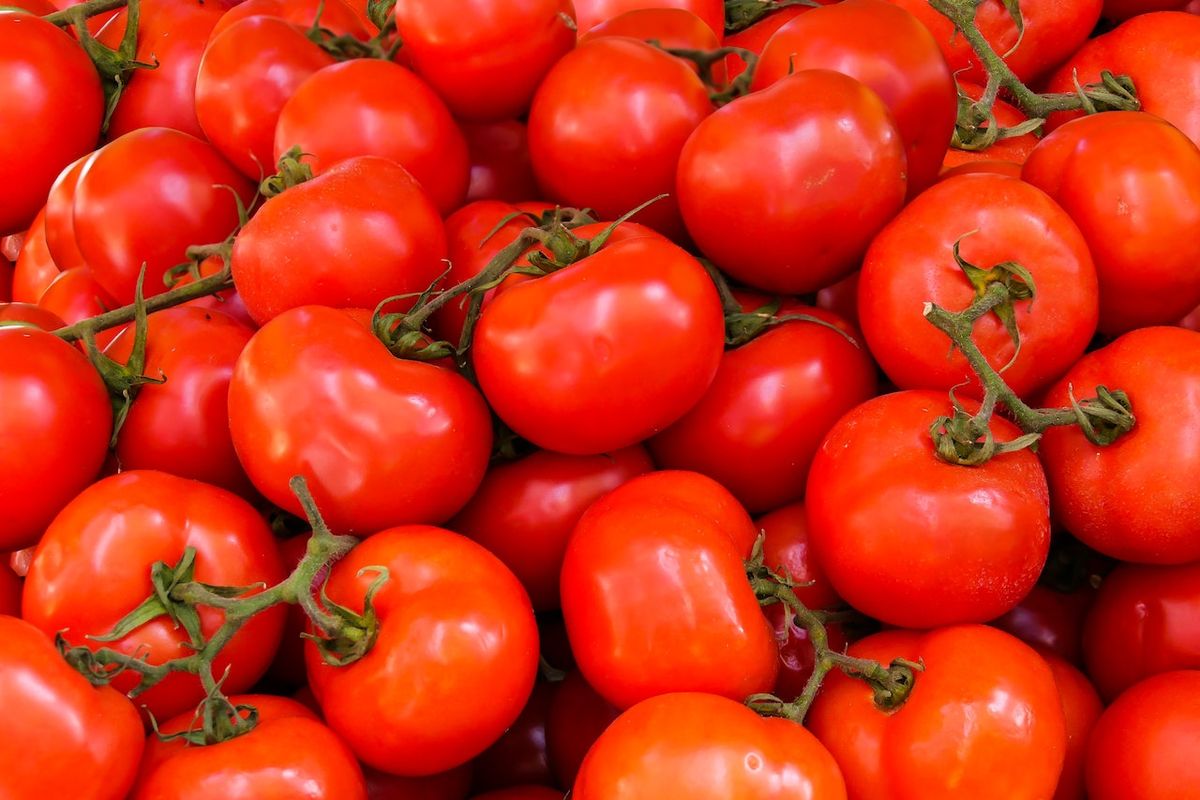 3 Manfaat Tomat Untuk Kesehatan Wajah Yang Menguntungkan!